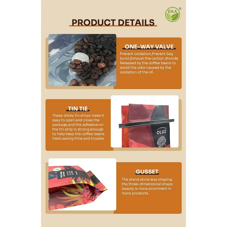 product-790-790 product-790-790